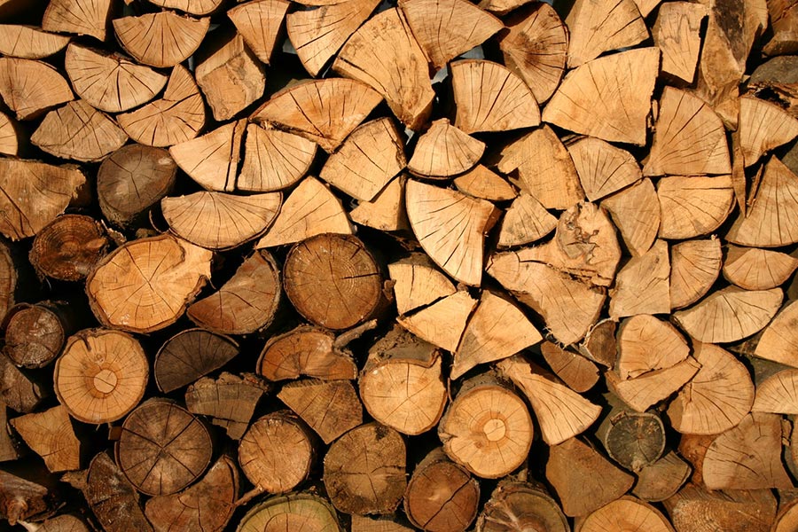 Stacked firewood